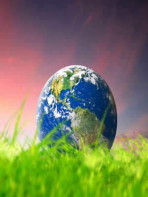 Environmental Awareness